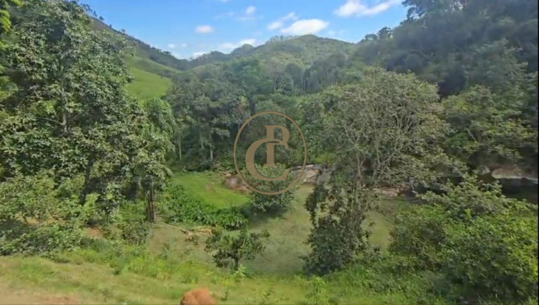 Imagem Fazenda à Venda, 250 m² em Pouso Alto - Paraibuna Imagem Fazenda à Venda, 250 m² em Pouso Alto - Paraibuna