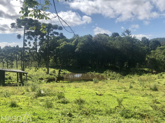Imagem Chácara à Venda, 70.000 m² em Serra Grande Italiana - Gramado Imagem Chácara à Venda, 70.000 m² em Serra Grande Italiana - Gramado