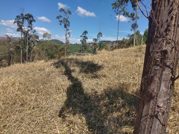 Imagem Chácara à Venda, 1.000 m² em Pocinhos Do Rio Verde - Caldas Imagem Chácara à Venda, 1.000 m² em Pocinhos Do Rio Verde - Caldas
