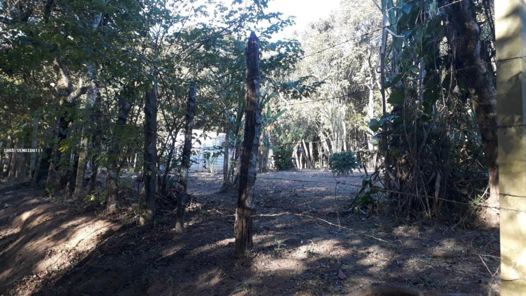Imagem Imóvel à Venda, 500 m² em Vila Caputera - Mogi Das Cruzes
