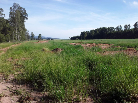 Chácara à Venda, 15 m² em Area Rural De Avaré - Avaré