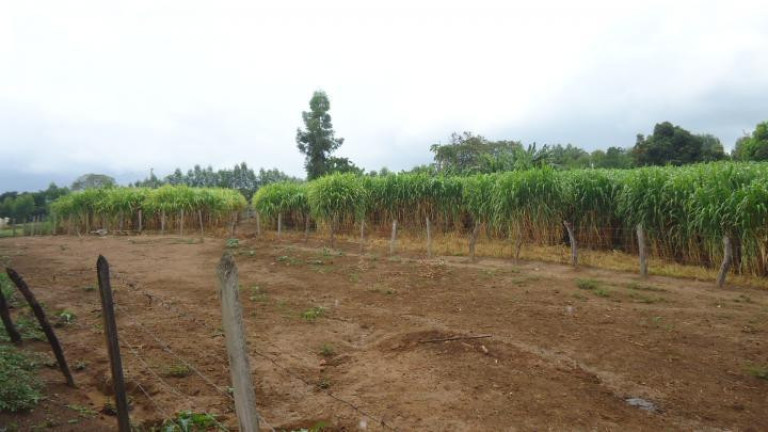 Imagem Fazenda à Venda, 60 m² em Azurita - Mateus Leme