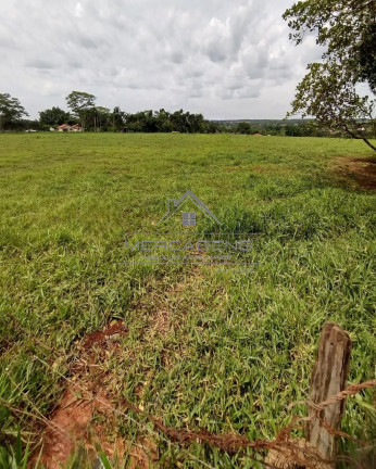 Imagem Terreno à Venda, em Rod. Délcio Custódio Da Silva - Ipiguá Imagem Terreno à Venda, em Rod. Délcio Custódio Da Silva - Ipiguá