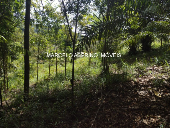 Imagem Imóvel à Venda, 32 m² em Serra Grande - Uruçuca Imagem Imóvel à Venda, 32 m² em Serra Grande - Uruçuca