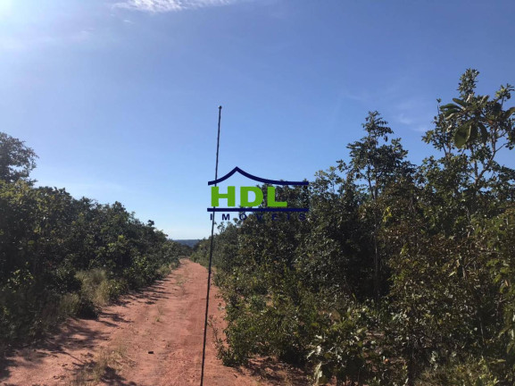 Imagem Fazenda à Venda,  em Zona Rural - Tesouro