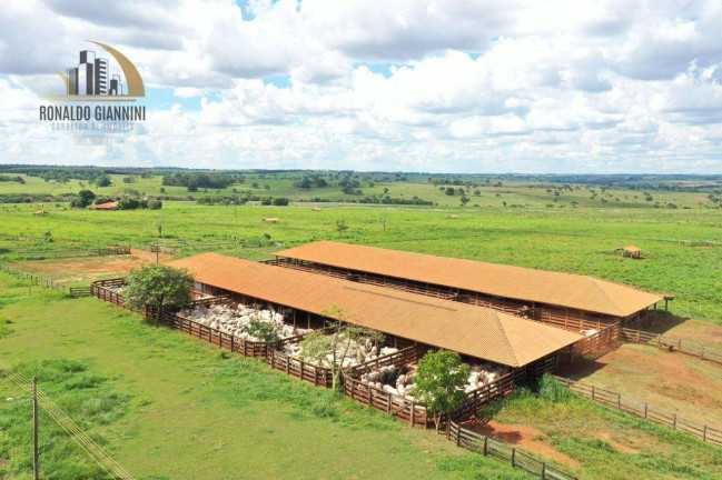Imagem Fazenda à Venda, 18.150.000 m² em Jardim Monterey - Jales