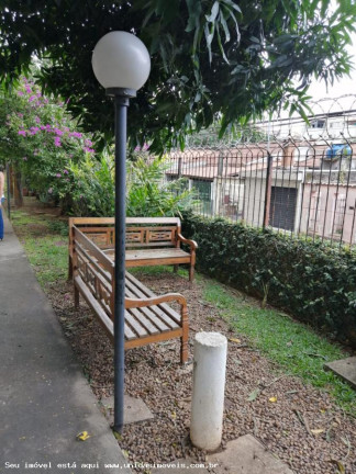 Imagem Apartamento com 3 Quartos à Venda, 70 m² em Parque Esmeralda - São Paulo