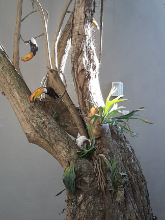 Imagem Sobrado com 3 Quartos à Venda, em Bosque Da Saúde - São Paulo Imagem Sobrado com 3 Quartos à Venda, em Bosque Da Saúde - São Paulo