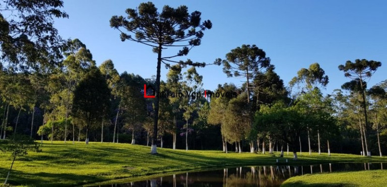 Imagem Imóvel com 2 Quartos à Venda, 133.100 m² em Carmo Messias - Ibiúna Imagem Imóvel com 2 Quartos à Venda, 133.100 m² em Carmo Messias - Ibiúna