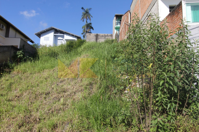 Imagem Imóvel à Venda, 455 m² em Velha - Blumenau Imagem Imóvel à Venda, 455 m² em Velha - Blumenau
