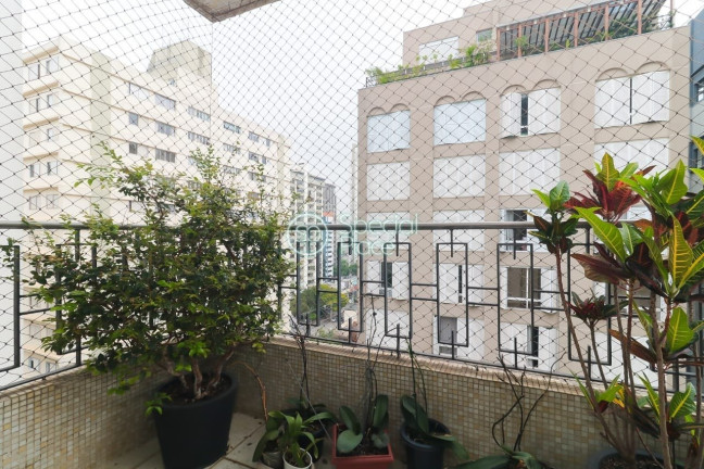 Imagem Apartamento com 3 Quartos à Venda, em Vila Uberabinha - São Paulo Imagem Apartamento com 3 Quartos à Venda, em Vila Uberabinha - São Paulo
