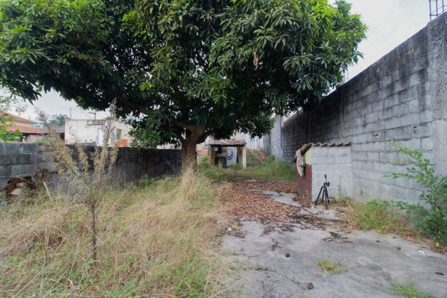 Imagem Imóvel à Venda, em Vila Marieta - São Paulo Imagem Imóvel à Venda, em Vila Marieta - São Paulo