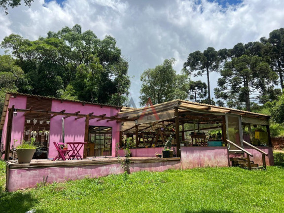 Imagem Fazenda à Venda, 5 m² em Rio Das Pedras - Guarapuava Imagem Fazenda à Venda, 5 m² em Rio Das Pedras - Guarapuava