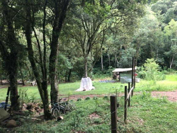 Imagem Imóvel com 2 Quartos à Venda, 80 m² em Linha Pirajá Baixa - Nova Petrópolis