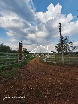 Imagem Imóvel com 3 Quartos à Venda, 21.000 m² em Arura - Conchal Imagem Imóvel com 3 Quartos à Venda, 21.000 m² em Arura - Conchal