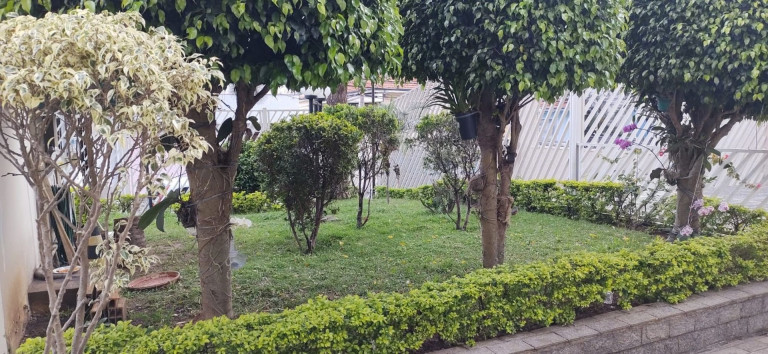 Imagem Apartamento com 3 Quartos à Venda, 100 m² em Saúde - São Paulo Imagem Apartamento com 3 Quartos à Venda, 100 m² em Saúde - São Paulo