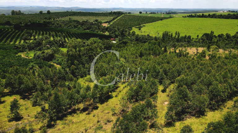 Imagem Chácara à Venda, 4 m² em área Rural De Mogi Guaçu - Mogi Guaçu Imagem Chácara à Venda, 4 m² em área Rural De Mogi Guaçu - Mogi Guaçu