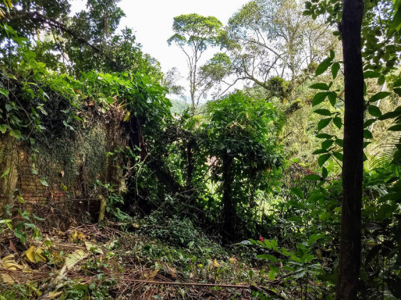 Imagem Terreno à Venda, 900 m² em América - Joinville