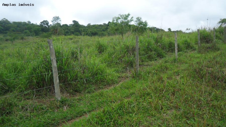 Imagem Fazenda à Venda, 320 m² em Azurita Distrito De Mateus Leme - Mateus Leme