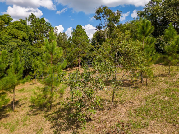 Imagem Terreno à Venda, 21.000 m² em Chácaras Alpina - Valinhos Imagem Terreno à Venda, 21.000 m² em Chácaras Alpina - Valinhos