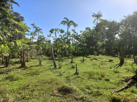 Imagem Terreno à Venda, 9.000 m² em Vila Nova - Joinville