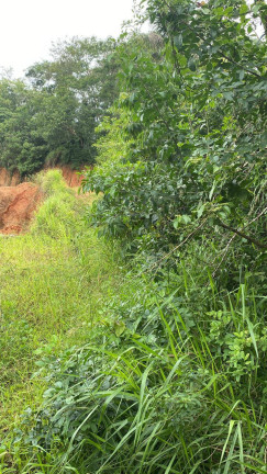 Imagem Terreno à Venda, 2 m² em Centro - Itariri Imagem Terreno à Venda, 2 m² em Centro - Itariri