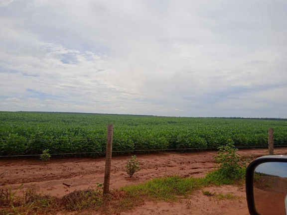 Imagem Fazenda à Venda, 8.100 m² em Rural - Chapadão Do Sul