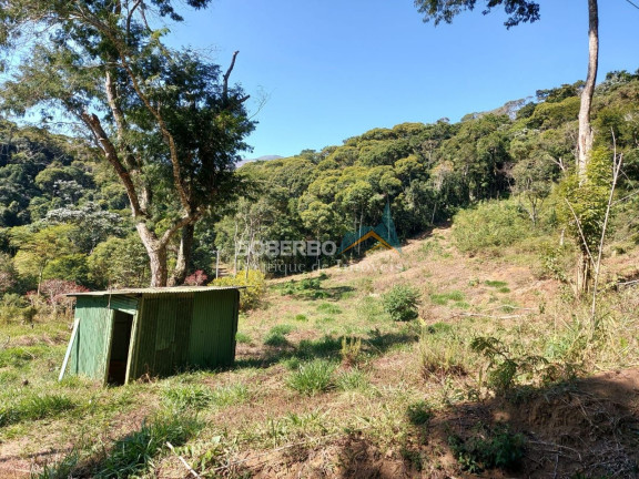 Imagem Imóvel com 3 Quartos à Venda, 70.000 m² em Vargem Grande - Teresópolis Imagem Imóvel com 3 Quartos à Venda, 70.000 m² em Vargem Grande - Teresópolis