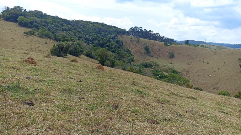 Imagem Chácara com 1 Quarto à Venda, 10 m² em Capim Da Angola - Paraibuna
