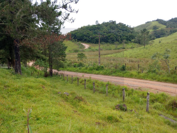 Imagem Chácara com 3 Quartos à Venda, 120 m² em Palmeiras - Natividade Da Serra Imagem Chácara com 3 Quartos à Venda, 120 m² em Palmeiras - Natividade Da Serra