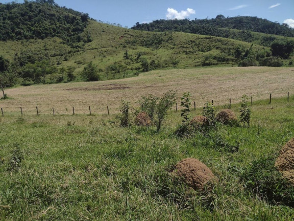 Imagem Fazenda à Venda, 100 m² em Canas - Canas Imagem Fazenda à Venda, 100 m² em Canas - Canas