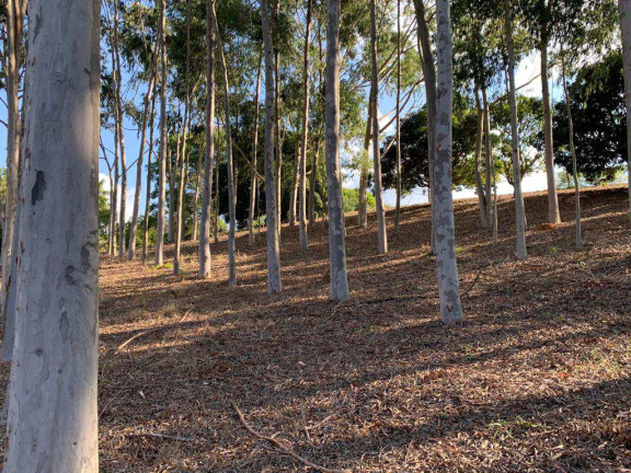 Imagem Fazenda à Venda, 34.464 m² em Piratuba - Piedade Imagem Fazenda à Venda, 34.464 m² em Piratuba - Piedade