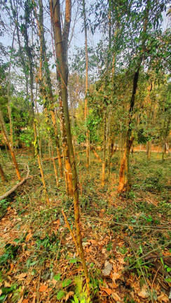 Imagem Imóvel à Venda, 700 m² em Jardim Estância Brasil - Atibaia Imagem Imóvel à Venda, 700 m² em Jardim Estância Brasil - Atibaia