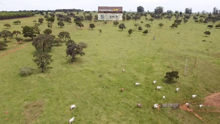 Imagem Fazenda à Venda, 22 m² em Zona Rural - Bela Vista De Goiás Imagem Fazenda à Venda, 22 m² em Zona Rural - Bela Vista De Goiás