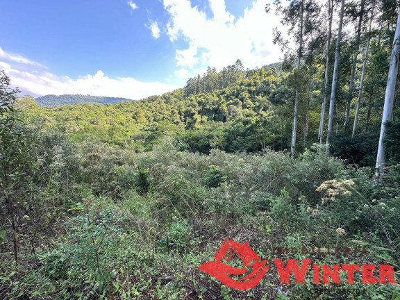 Imagem Terreno à Venda, 2.162 m² em Linha Neis - São Vendelino Imagem Terreno à Venda, 2.162 m² em Linha Neis - São Vendelino
