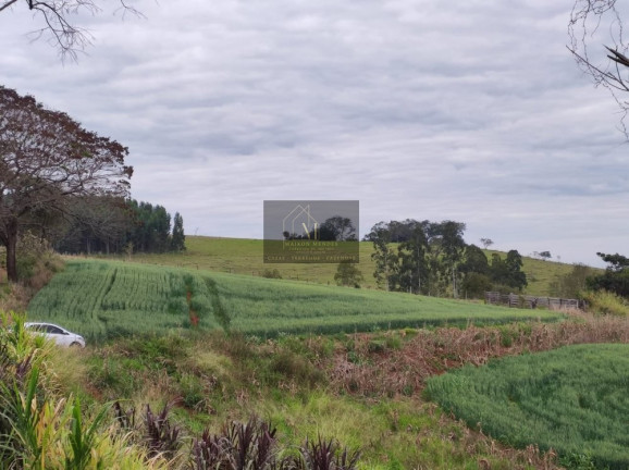 Imagem Terreno à Venda, 2.600 m² em Tomazina - Tomazina