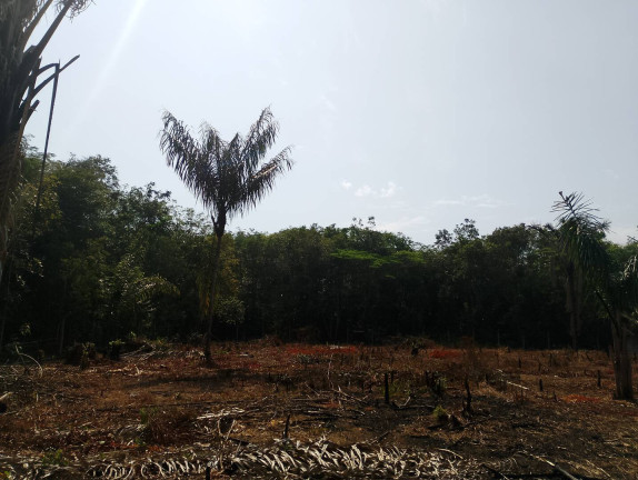 Imagem Terreno à Venda, 2.000 m² em Iranduba - Iranduba Imagem Terreno à Venda, 2.000 m² em Iranduba - Iranduba