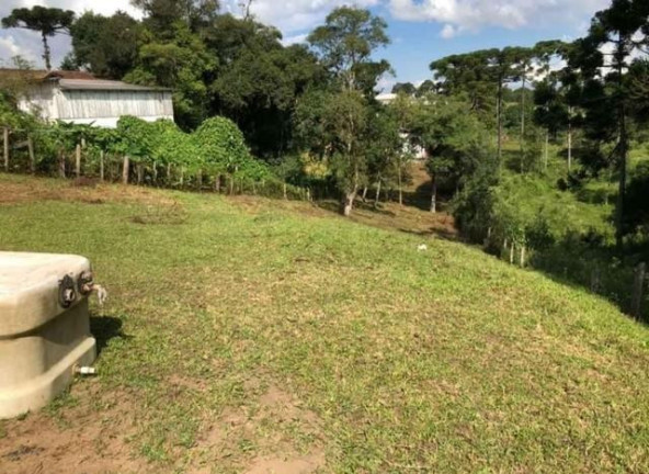 Imagem Terreno à Venda, 1.600 m² em Colonia Murici - São José Dos Pinhais Imagem Terreno à Venda, 1.600 m² em Colonia Murici - São José Dos Pinhais