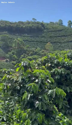 Imagem Fazenda à Venda, 11 m² em Manhumirim