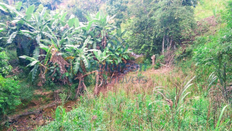 Imagem Chácara à Venda, 20 m² em Tigipió - São João Batista