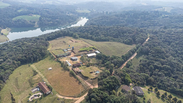 Imagem Imóvel com 1 Quarto à Venda, 20.000 m² em Vila David Antônio - Campo Largo Imagem Imóvel com 1 Quarto à Venda, 20.000 m² em Vila David Antônio - Campo Largo