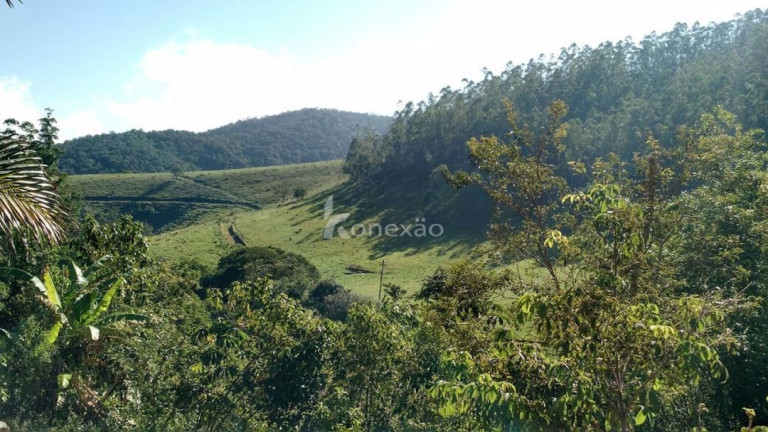Imagem Fazenda à Venda, 500 m² em Pernambucana - Paraibuna Imagem Fazenda à Venda, 500 m² em Pernambucana - Paraibuna