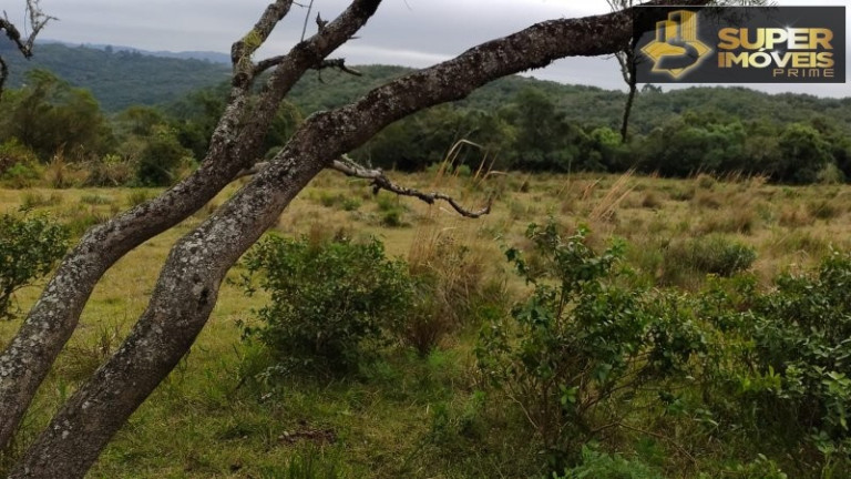 Imagem Imóvel com 4 Quartos à Venda, 2.600.000 m² em Centro - Canguçu