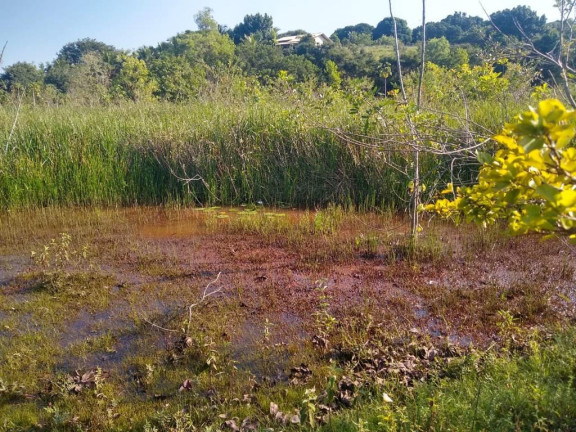 Imagem Imóvel à Venda, 874 m² em Palmeiras - Guaraparia