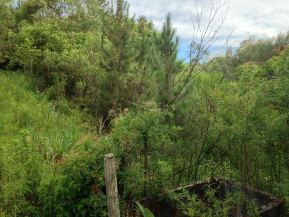 Imagem Terreno à Venda, 80 m² em Santa Felicidade - Curitiba