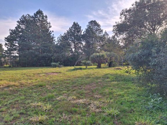 Imagem Terreno à Venda, 3.200 m² em águas Claras - Viamão Imagem Terreno à Venda, 3.200 m² em águas Claras - Viamão