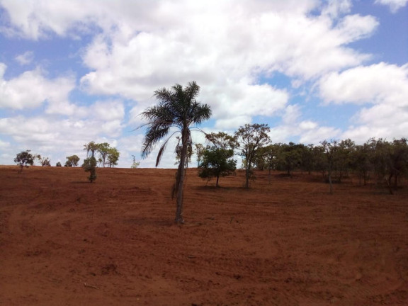 Imagem Fazenda à Venda, 32 m² em Rural - Bauru Imagem Fazenda à Venda, 32 m² em Rural - Bauru