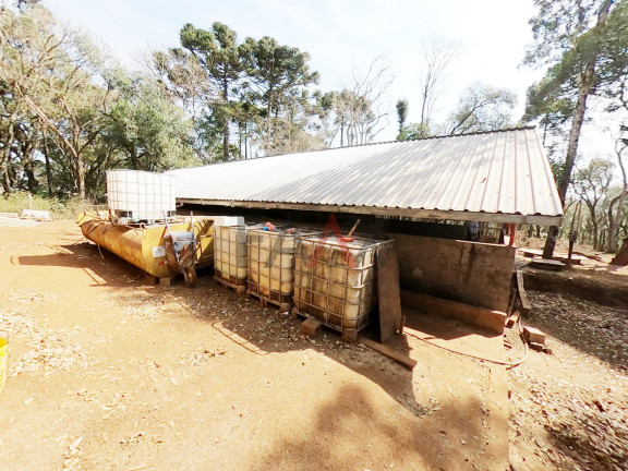 Imagem Fazenda à Venda, 24.200 m² em Morro Alto - Guarapuava Imagem Fazenda à Venda, 24.200 m² em Morro Alto - Guarapuava