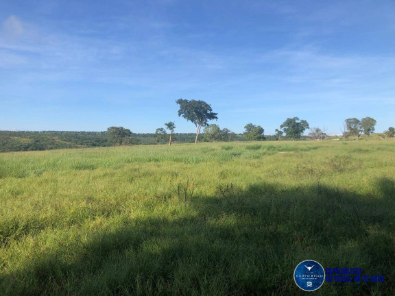 Imagem Fazenda à Venda, 166 m² em Zona Rural - Torixoréu Imagem Fazenda à Venda, 166 m² em Zona Rural - Torixoréu