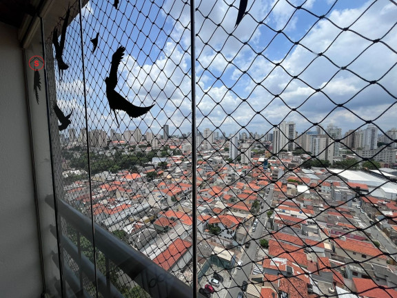 Imagem Apartamento com 3 Quartos à Venda, 70 m² em Mooca - São Paulo Imagem Apartamento com 3 Quartos à Venda, 70 m² em Mooca - São Paulo